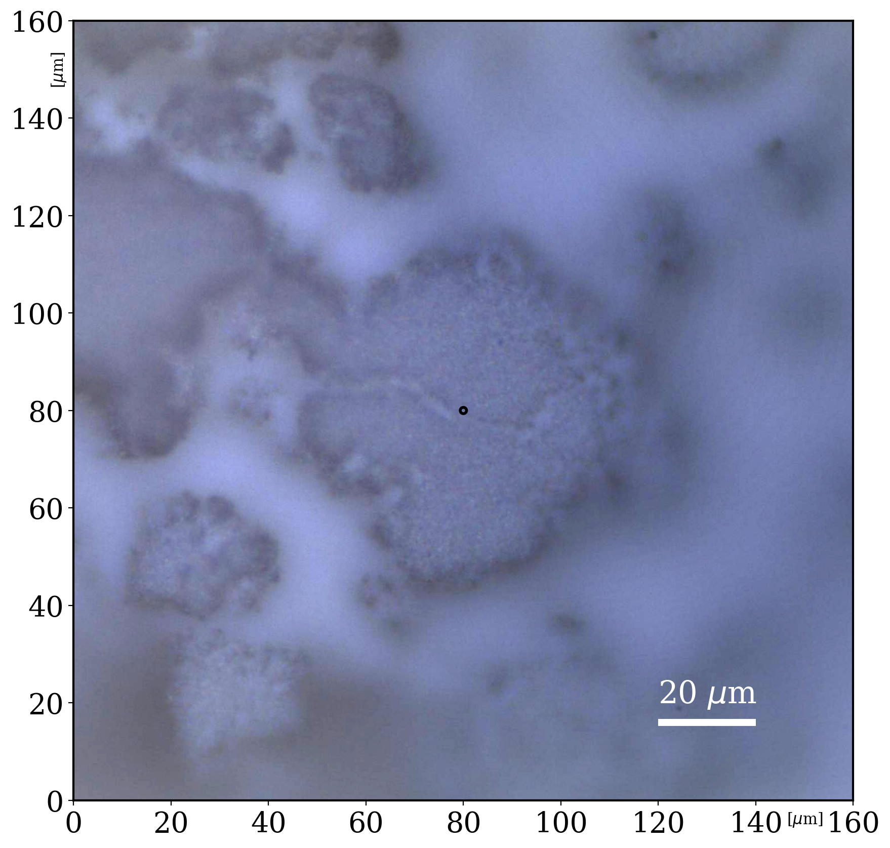 Titanium(IV)Oxide_405_microimaging_homogeneous_293K_none_0_solid_microcrystals_05312022