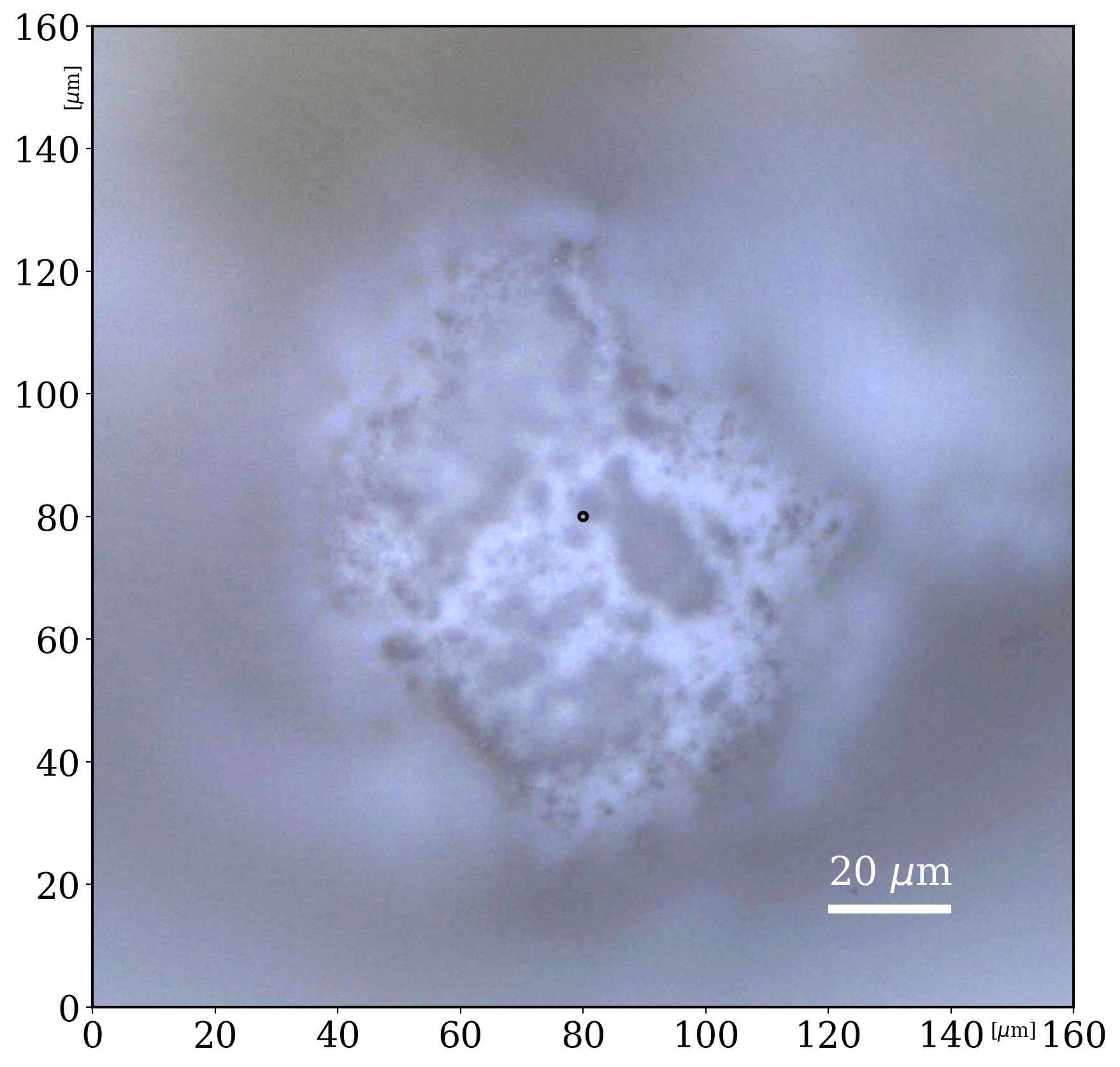 Titanium(IV)Oxide_532_microimaging_homogeneous_293K_none_0_solid_microcrystals_06072022