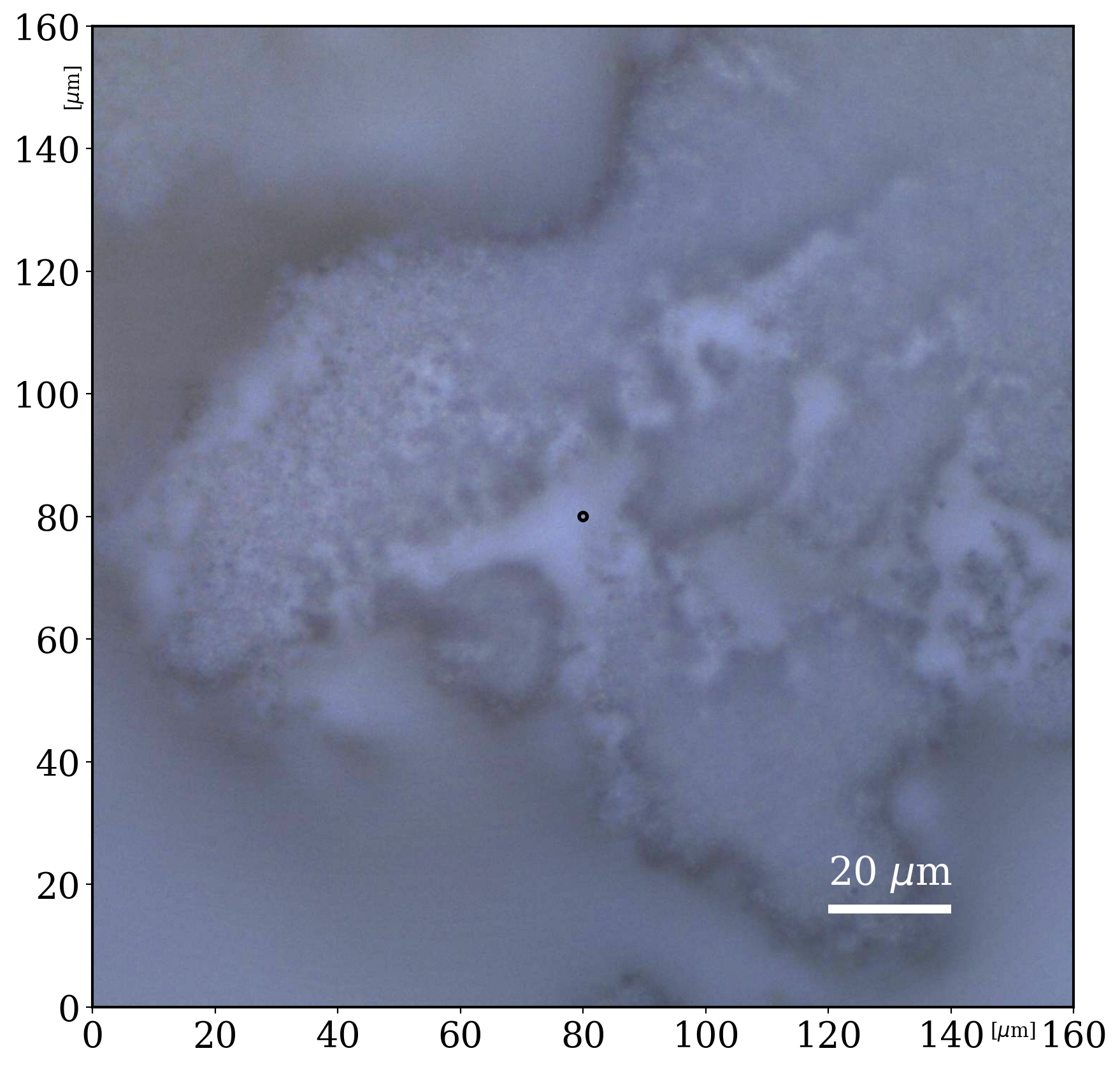 Titanium(IV)Oxide_785_microimaging_homogeneous_293K_none_0_solid_microcrystals_06092022